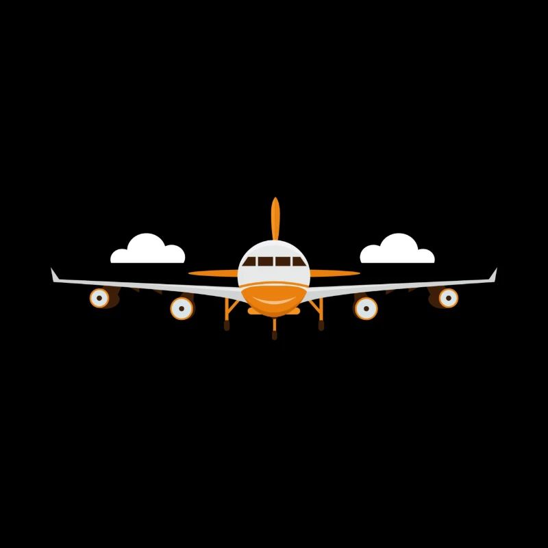 Minimalist Passenger Plane Motif
