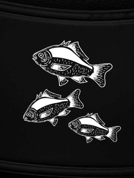 Fische