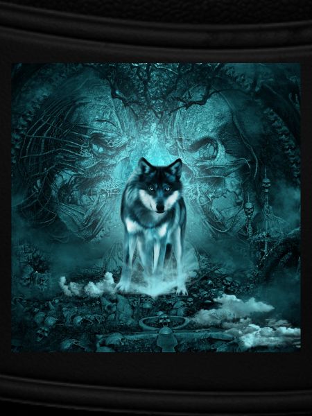 Awesome wolf at night
