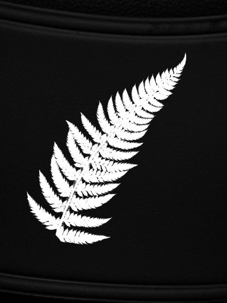 Contrasting Fern Feather