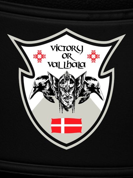 Dänemark Wikinger Design