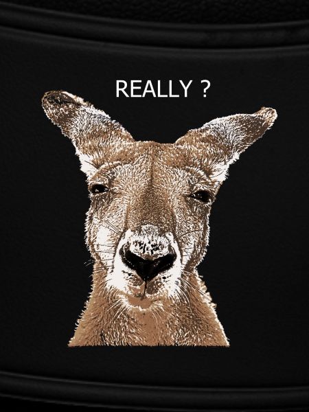 Kangaroo really?