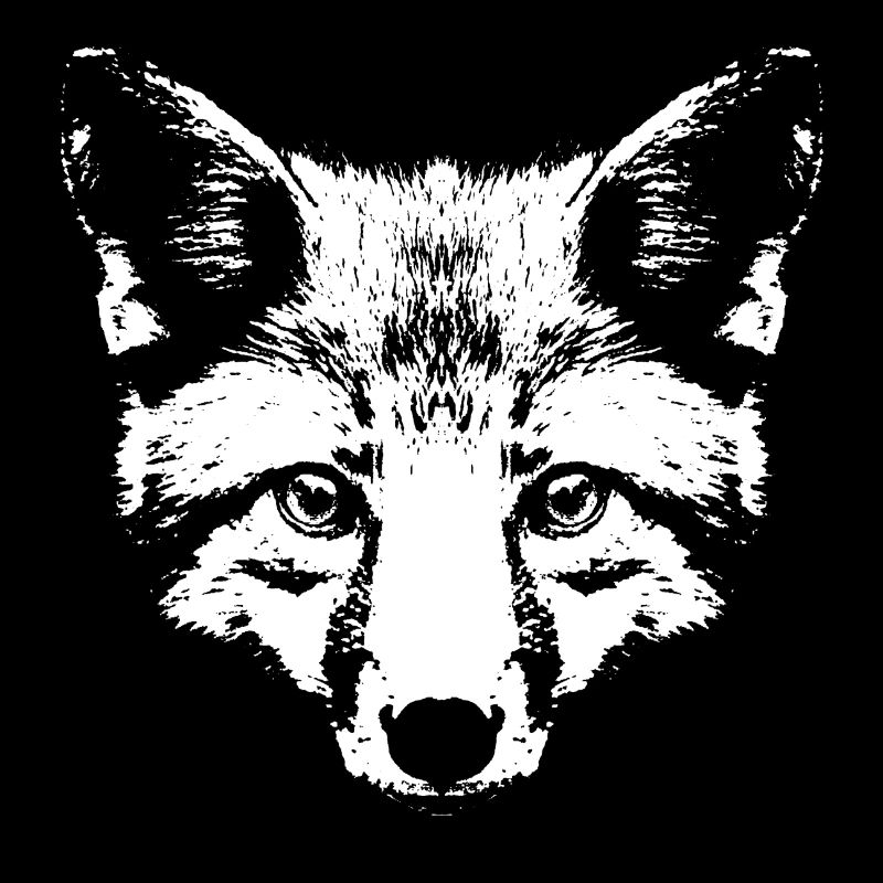 Fox in White / Head / Portrait