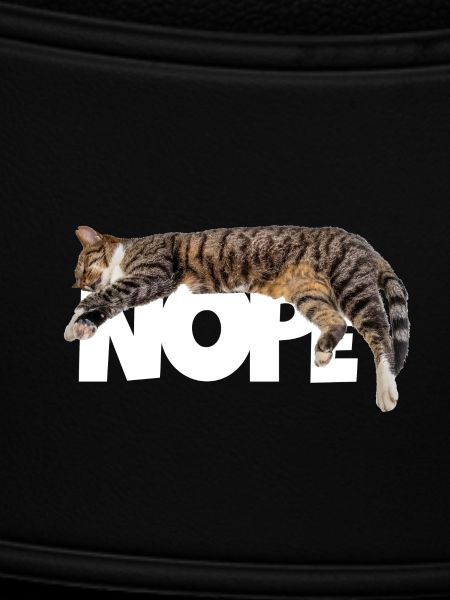 Nope cat