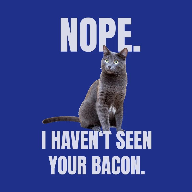 Funny cat