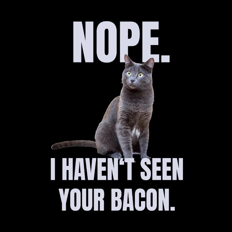 Chat marrant