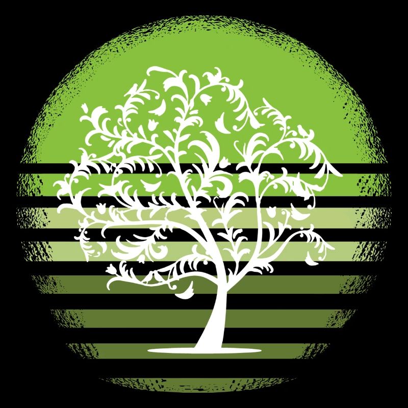 Nature arbre blanc retro feuillus coucher de soleil D