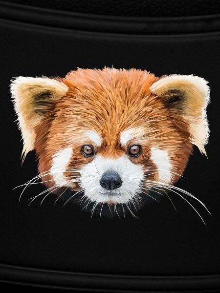 Red panda