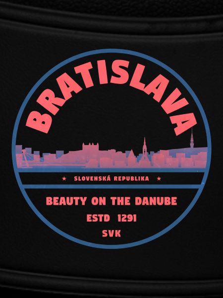 Bratislava Skyline Danube