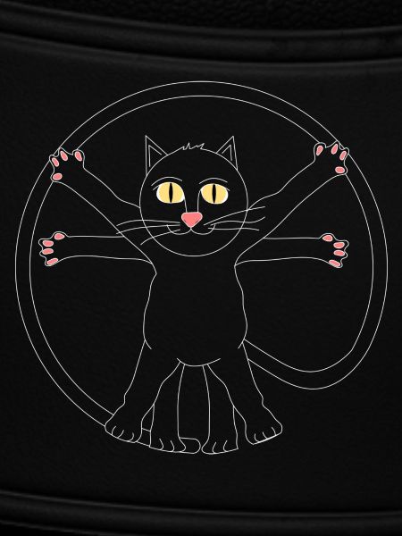 Leonardo da Kitty