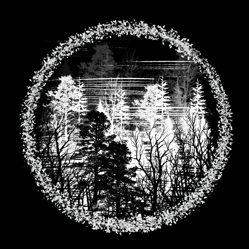 Forest Circle Silhouette Forest Landscape