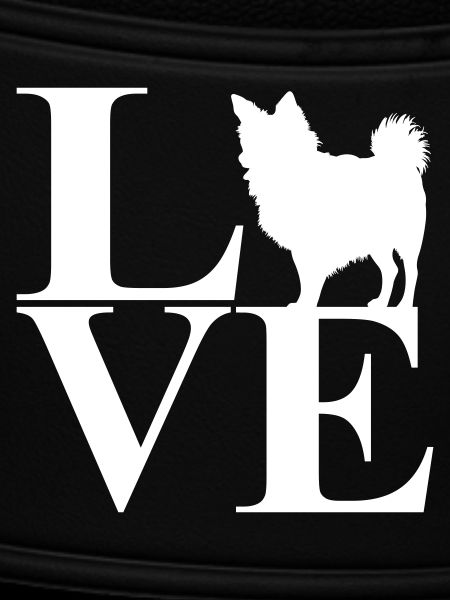 Love Chihuahua