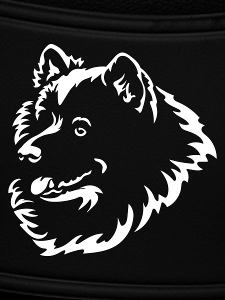 Samojede Kopf "Black Edition"
