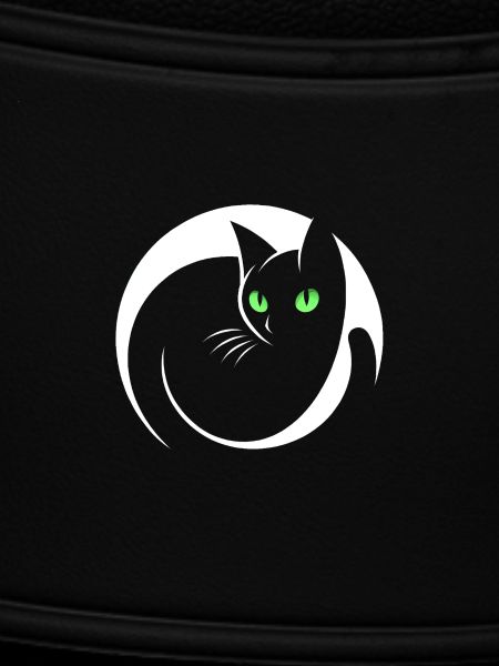 Elegant Black Cat