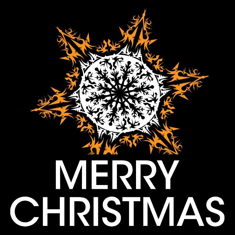 flocon de neige de Noël cristaux de Noël étoile icône