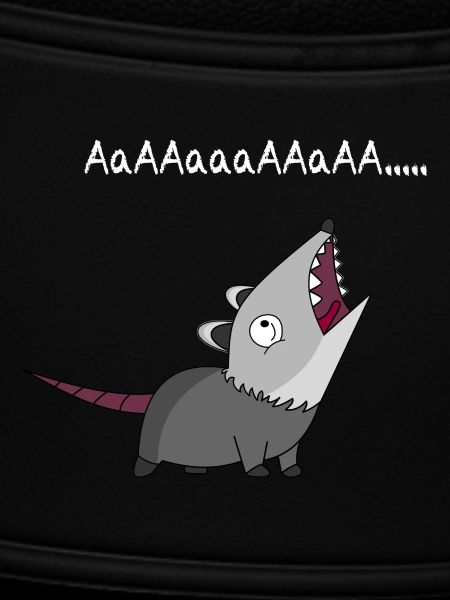 Opossum