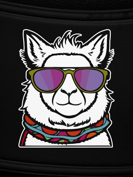 Cool Llama