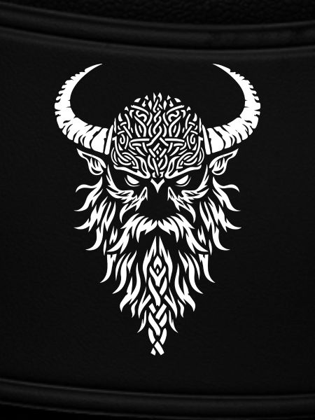 Viking warrior head