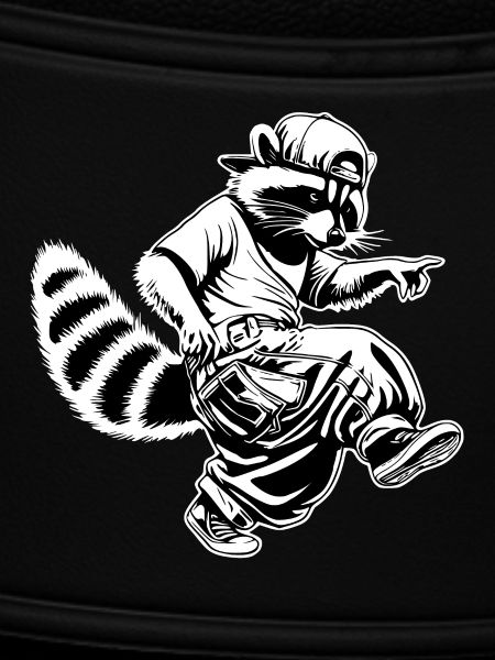 Hiphop-Waschbär