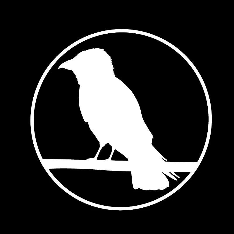 Crow on a branch