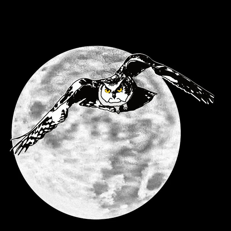 Hibou devant la lune