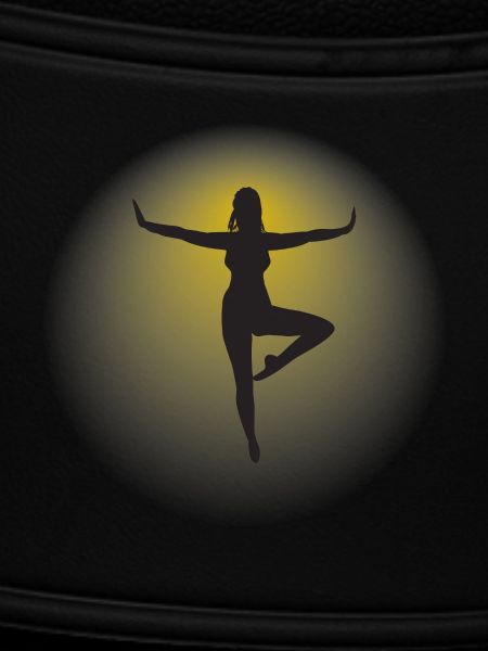 Silhouette 2
