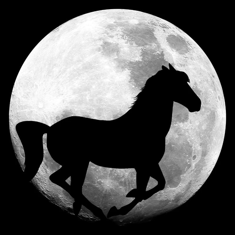 Pferd Vollmond Pferde