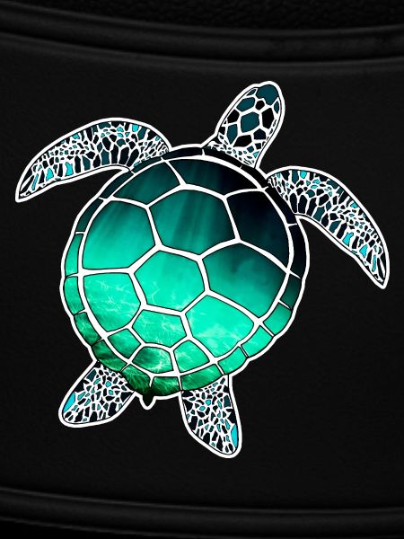 Sea Turtle