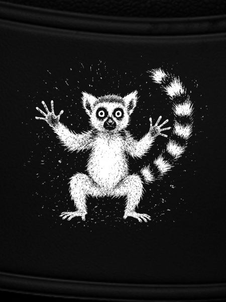 Lemur