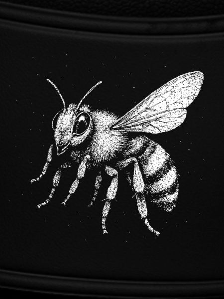 A bee