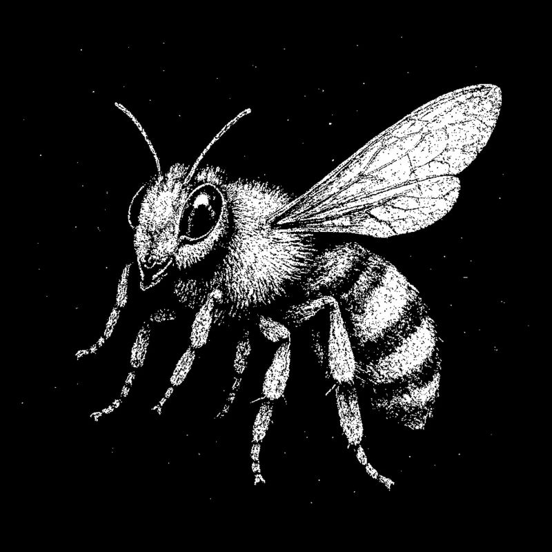 Une abeille