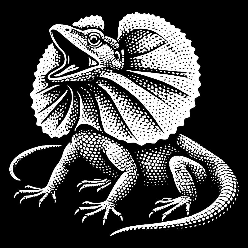 Curled Dragon Lizard