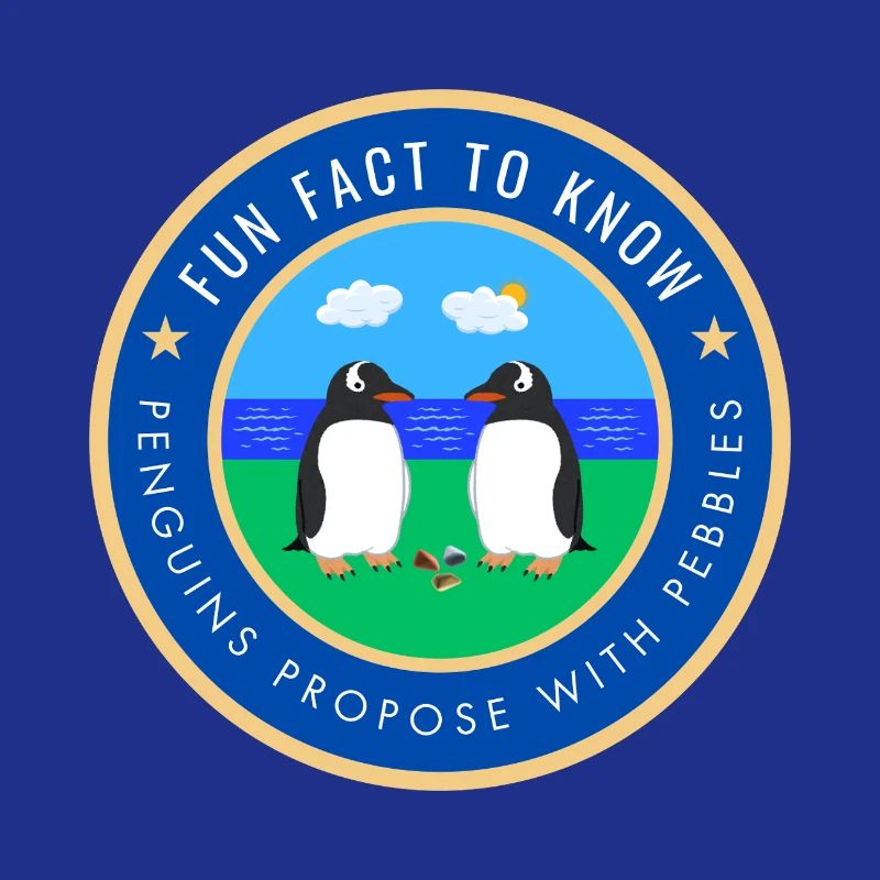 Penguins propose with pebbles