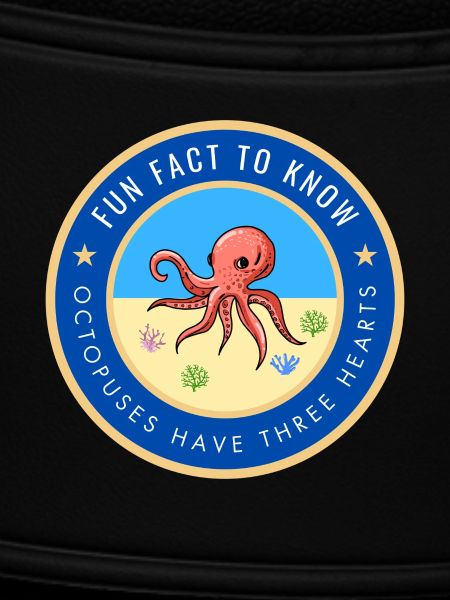 Octopuses have three hearts