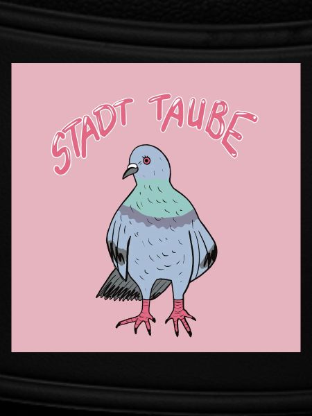 Stadttaube Illustrationsdesign