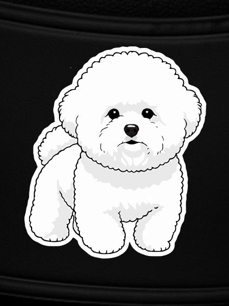 Bichon Mignon