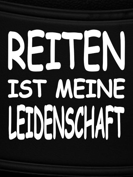 Reiten