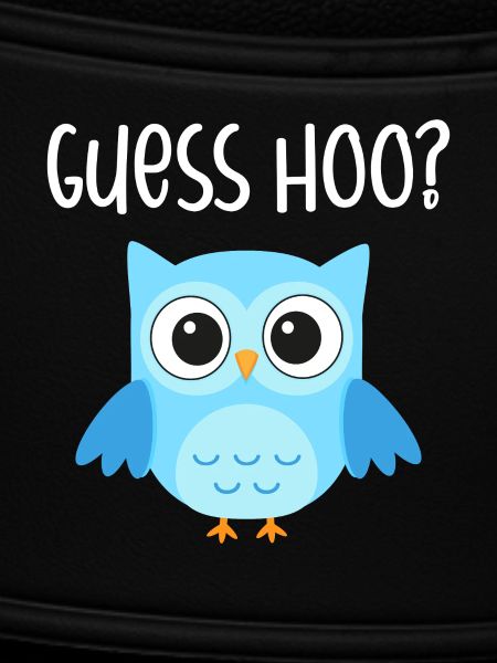 Eule Guess Hoo