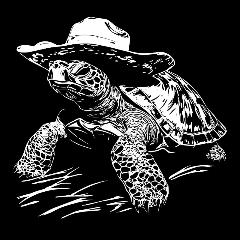 Turtle Cowboy Hat Western