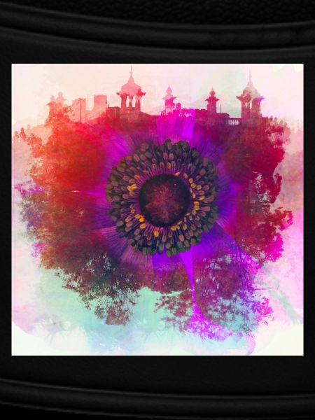 Abstract poppy