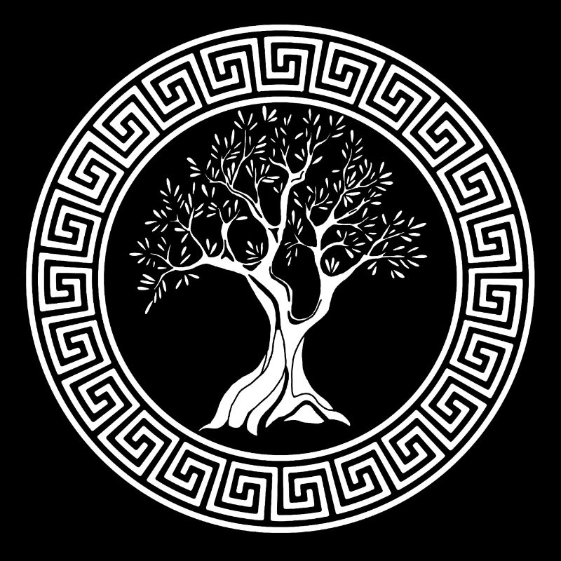 Ancient symbol of the white olive tree