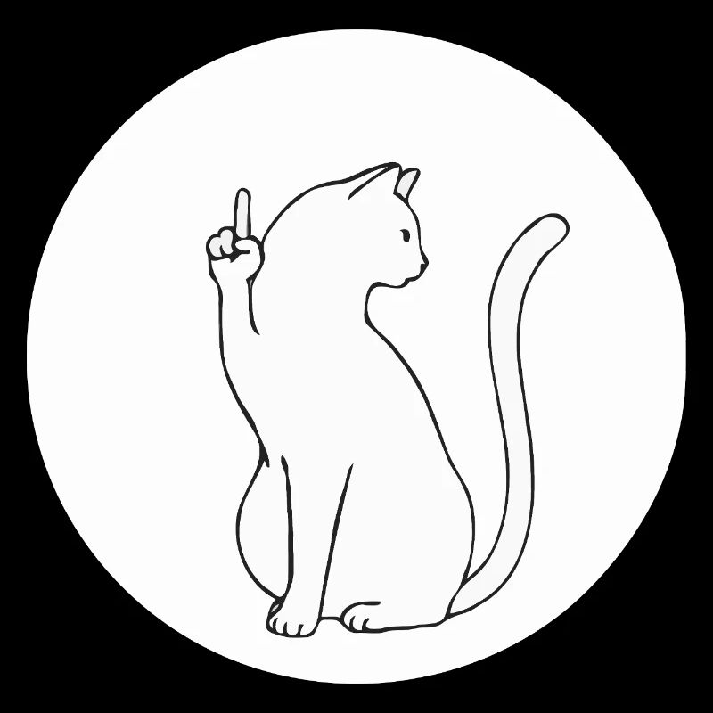 Katze Katzen Cat Kätzchen Mieze Mittelfinger