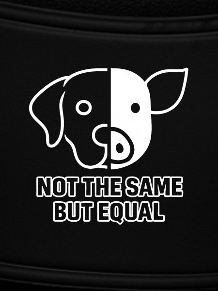 Dog Pig