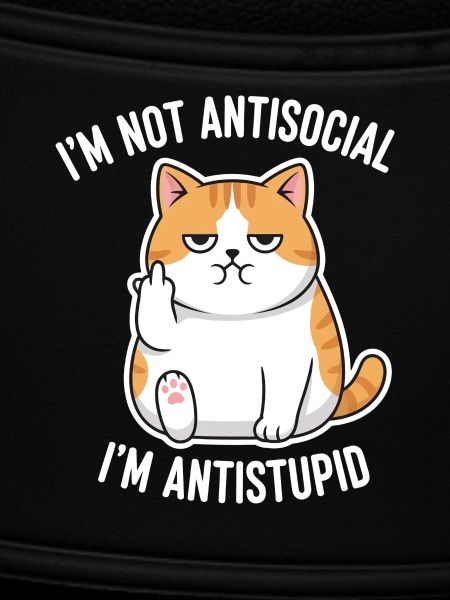 Grumpy Attitude Cat Antistupid