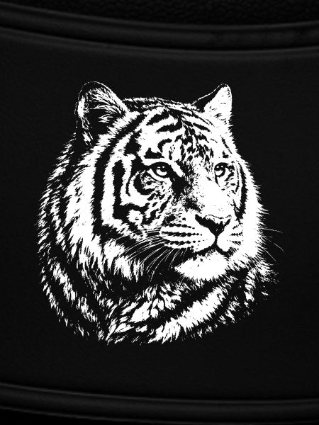 Tiger contrast portrait