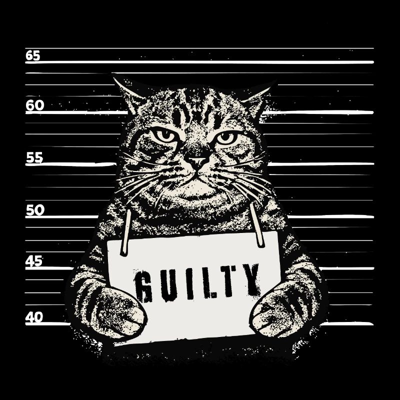 Grim Cat – Coupable de la photo d’identité judiciaire