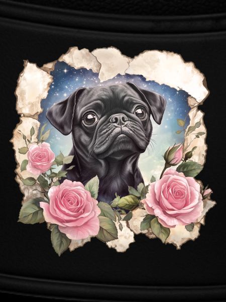 black pug