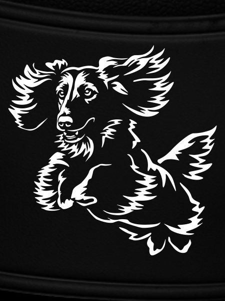 Dachshund "Black Edition"