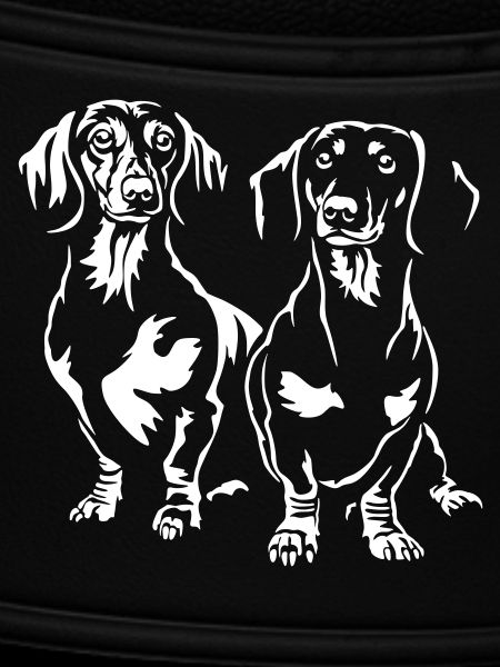 Dachshund "Black Edition"
