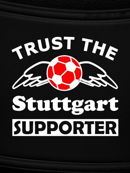 Stuttgart Supporter Wingball